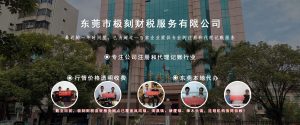东莞市极刻财税服务有限公司